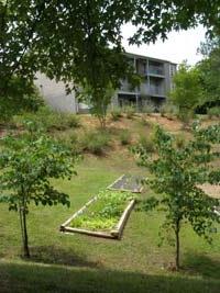 Garden-next-to-student-apartments