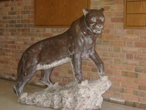 黑豹雕像